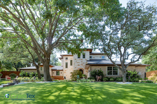 house featuring synthetic turf